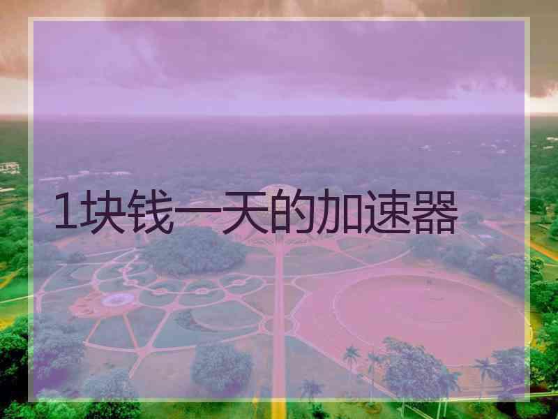 1块钱一天的加速器