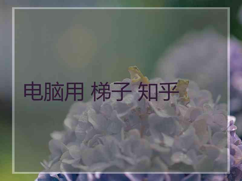电脑用 梯子 知乎
