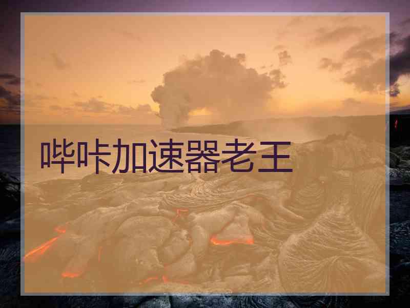 哔咔加速器老王