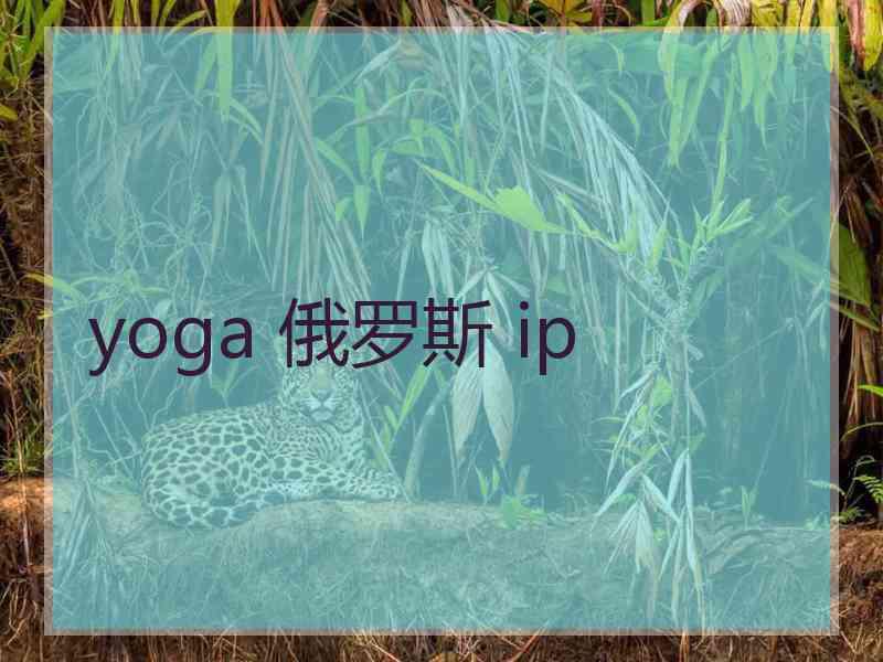 yoga 俄罗斯 ip
