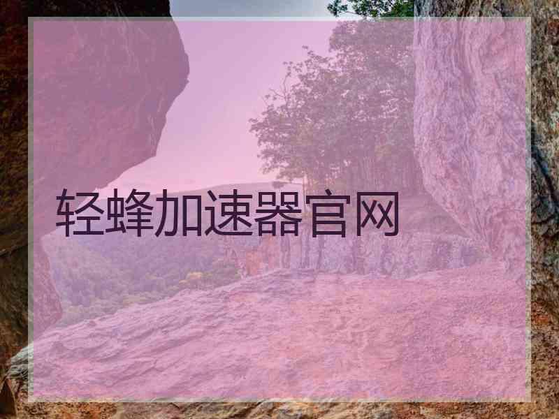 轻蜂加速器官网