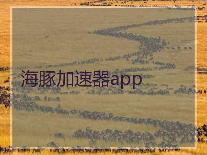 海豚加速器app