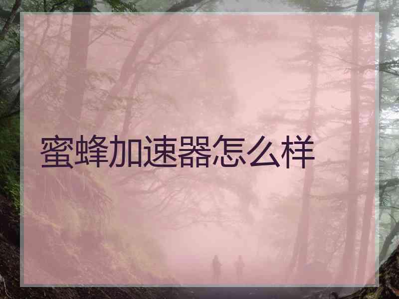 蜜蜂加速器怎么样