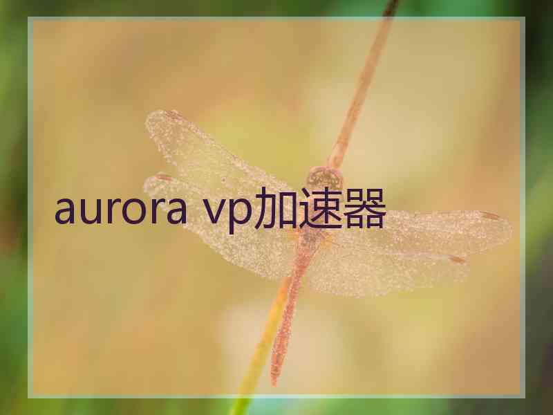 aurora vp加速器