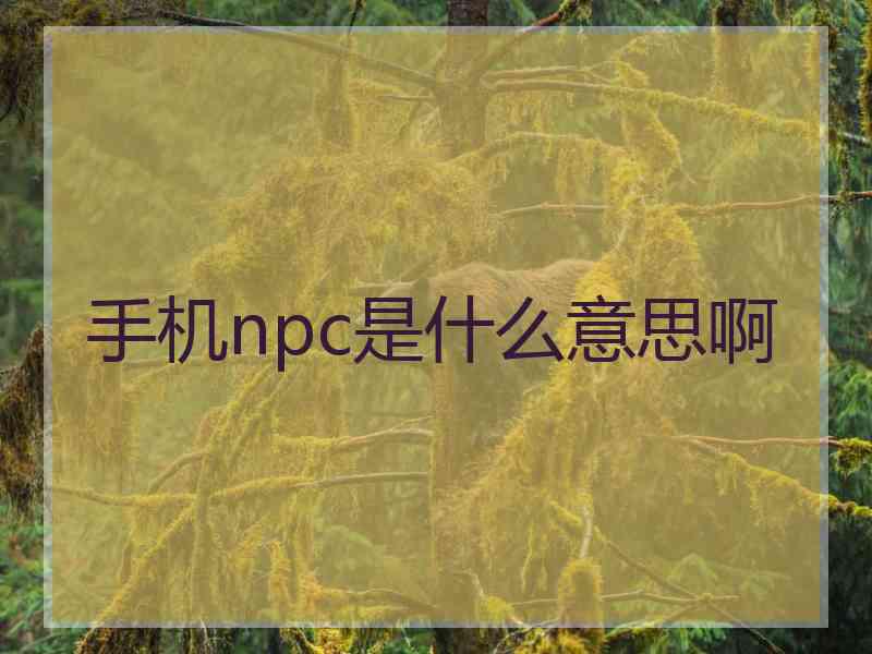 手机npc是什么意思啊