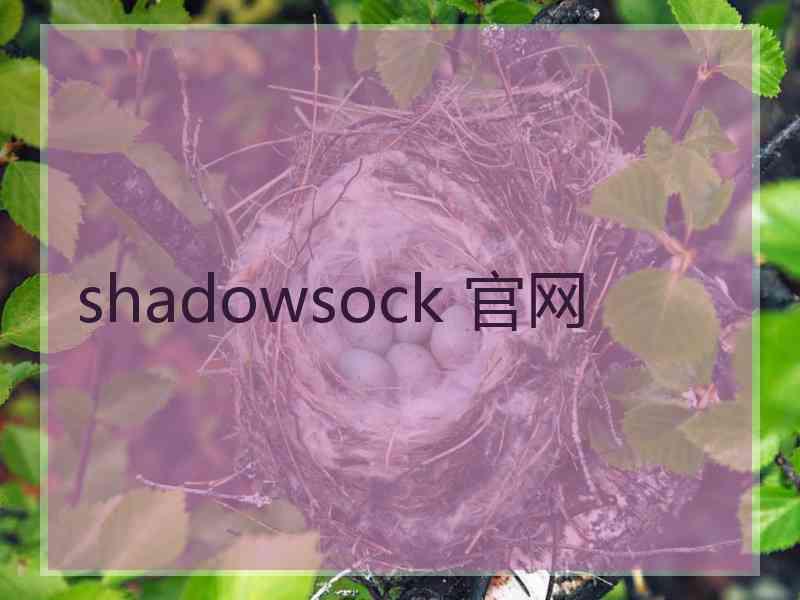 shadowsock 官网