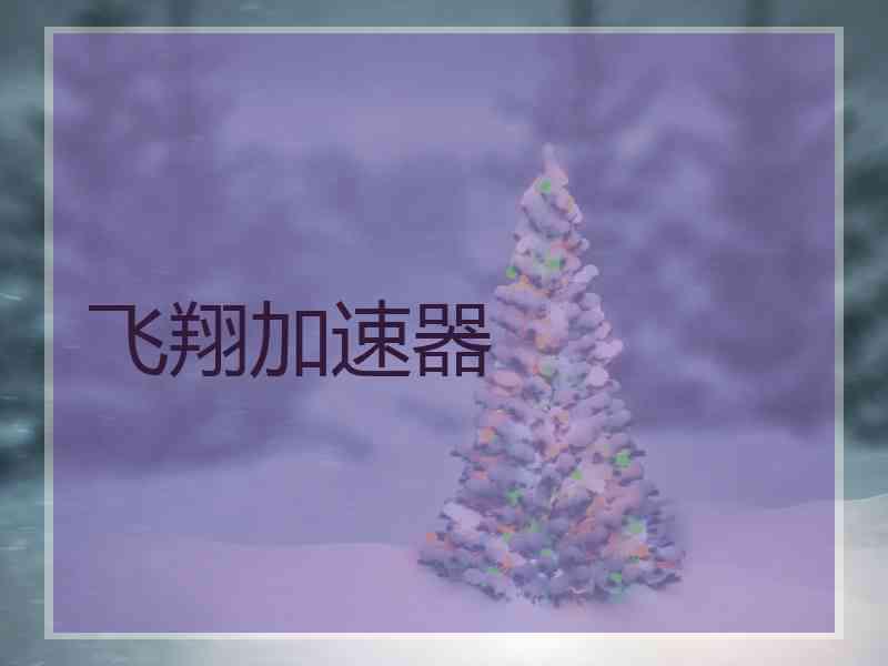 飞翔加速器