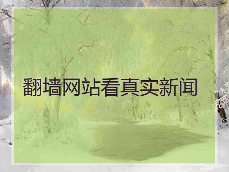 翻墙网站看真实新闻