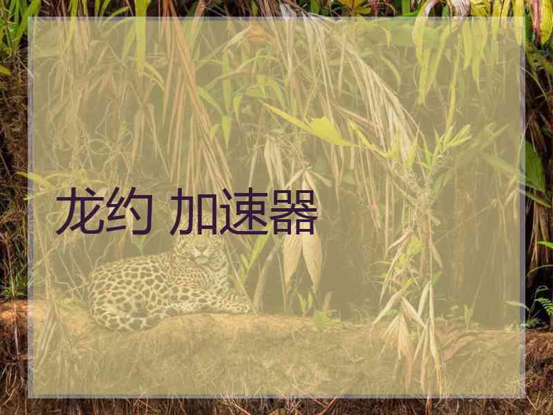 龙约 加速器