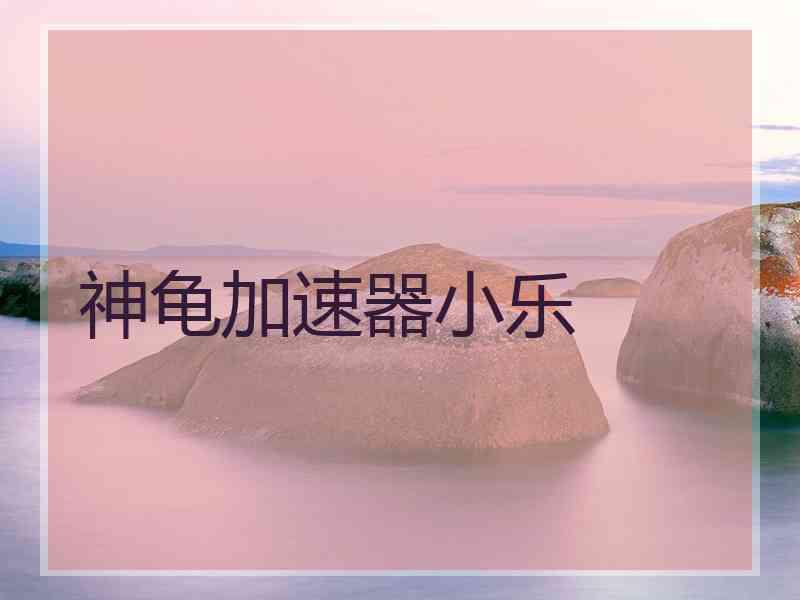 神龟加速器小乐