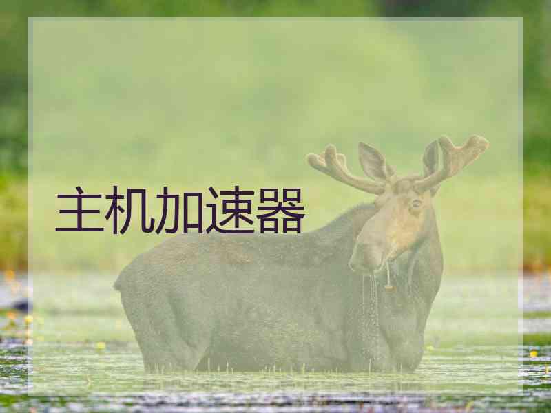 主机加速器