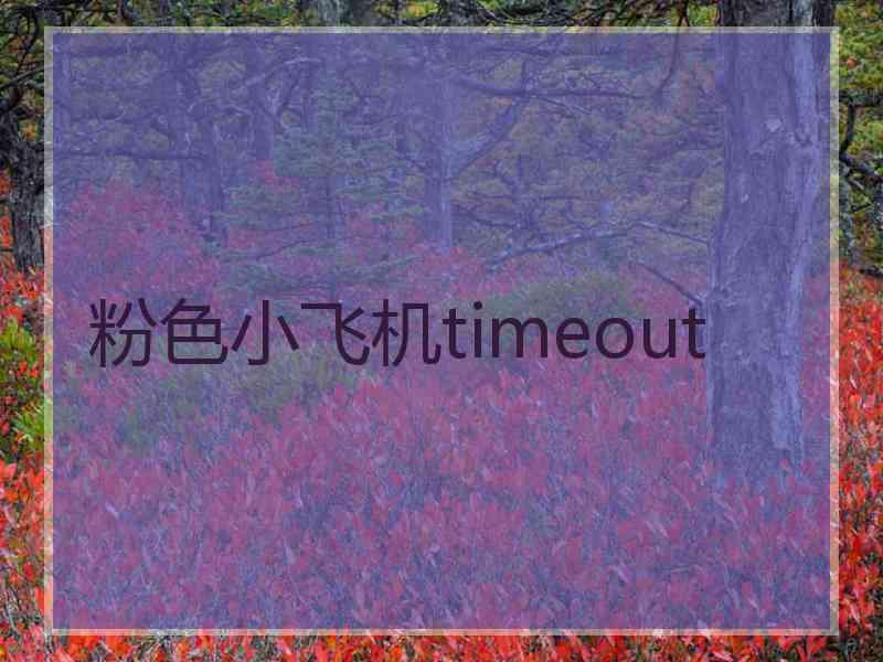 粉色小飞机timeout