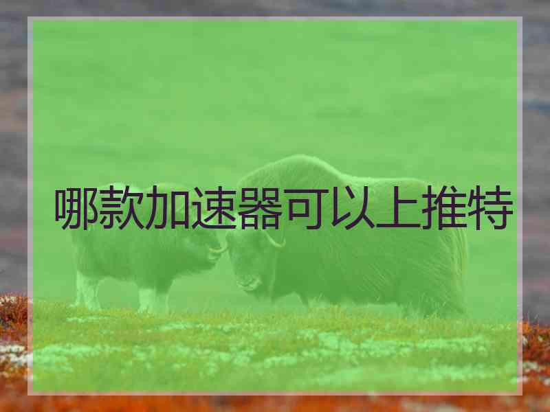 哪款加速器可以上推特