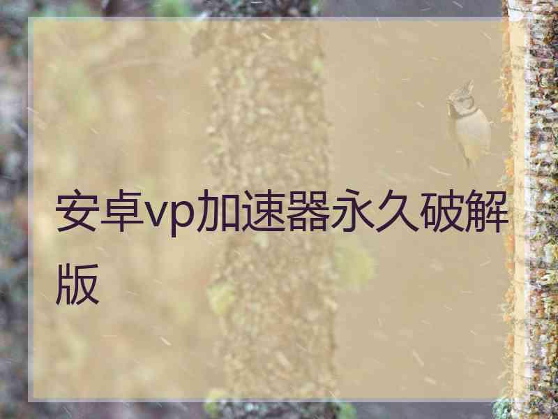 安卓vp加速器永久破解版