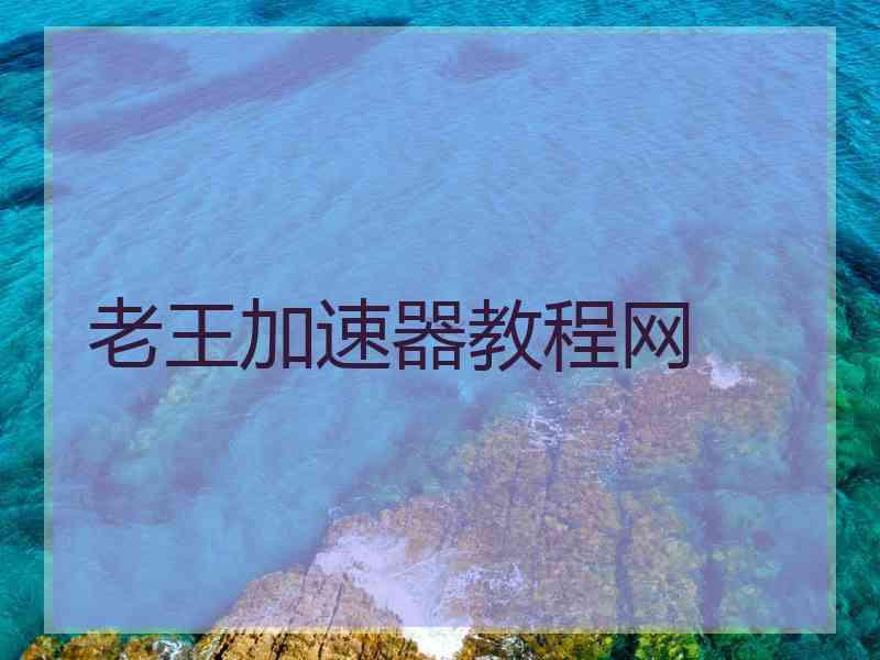 老王加速器教程网
