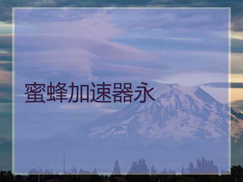 蜜蜂加速器永