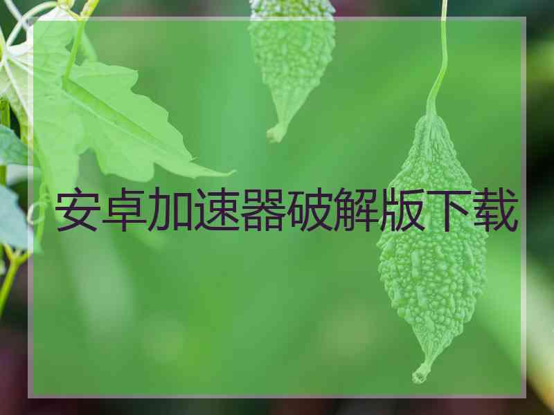 安卓加速器破解版下载