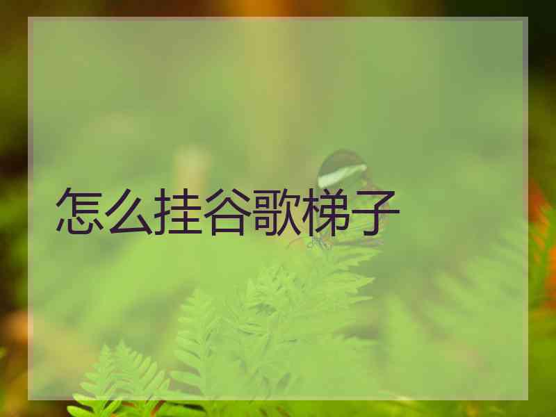 怎么挂谷歌梯子