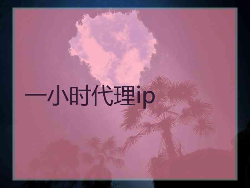 一小时代理ip