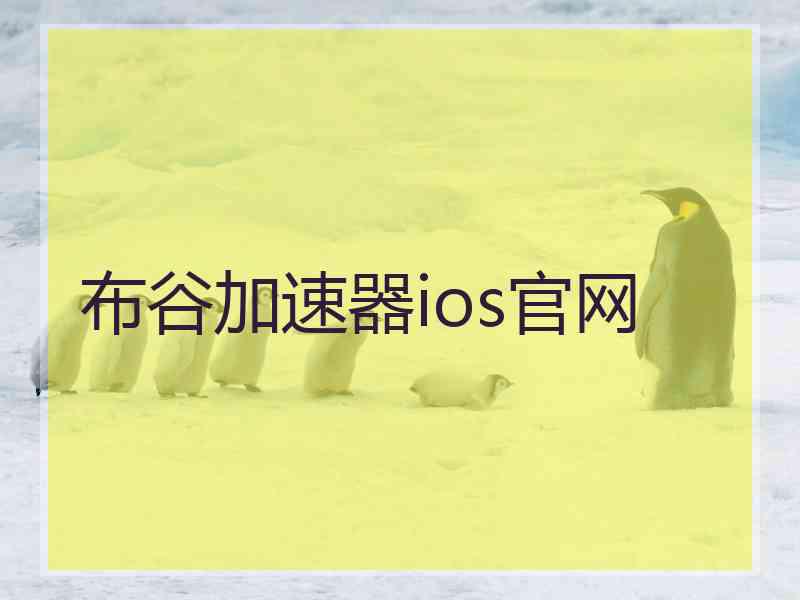 布谷加速器ios官网