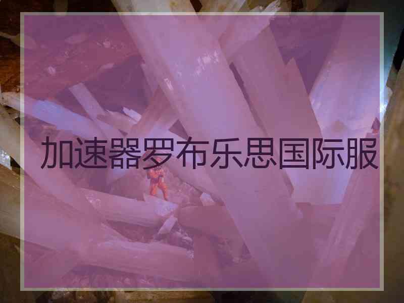 加速器罗布乐思国际服