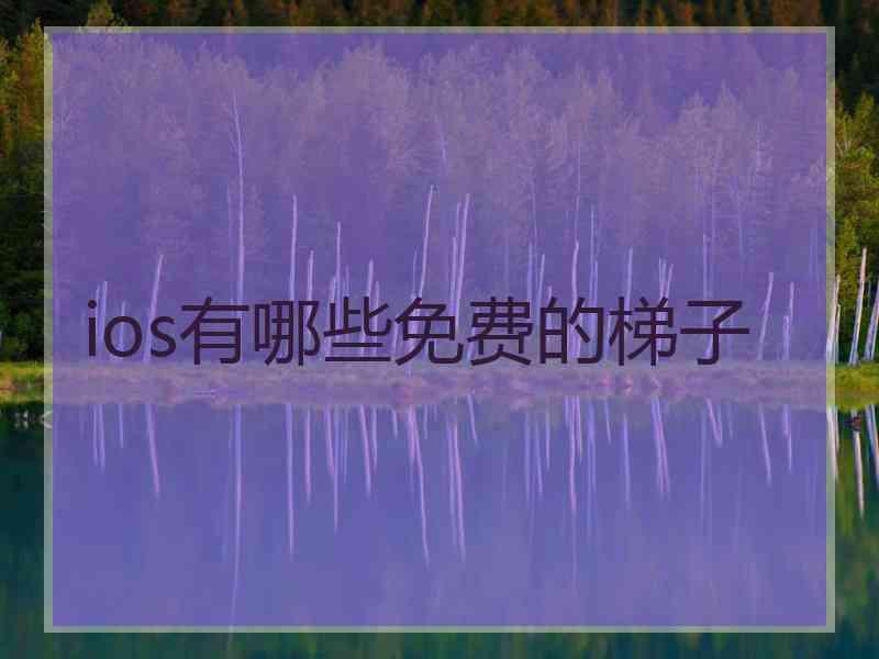 ios有哪些免费的梯子