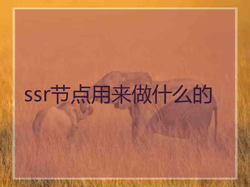 ssr节点用来做什么的