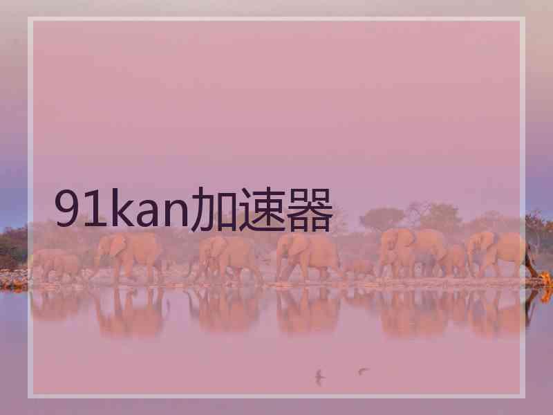 91kan加速器