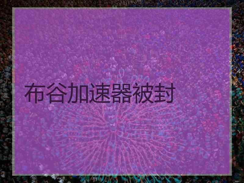布谷加速器被封