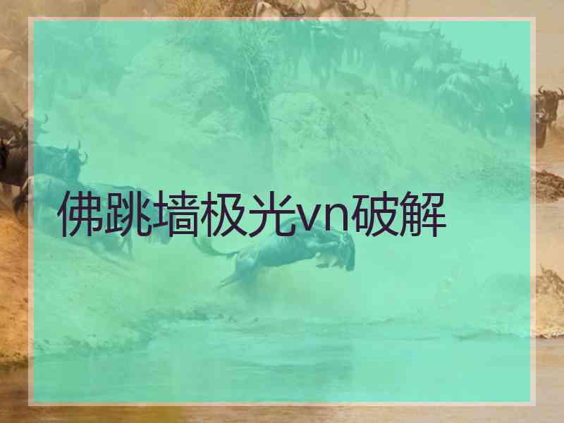 佛跳墙极光vn破解
