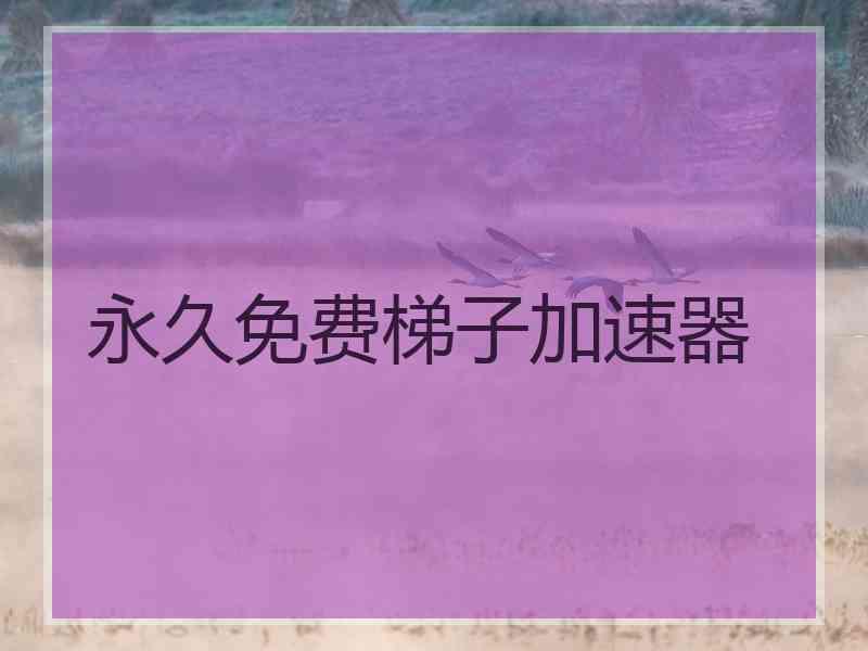 永久免费梯子加速器