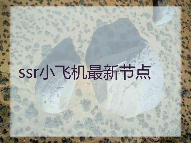 ssr小飞机最新节点