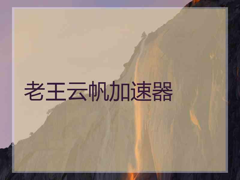 老王云帆加速器