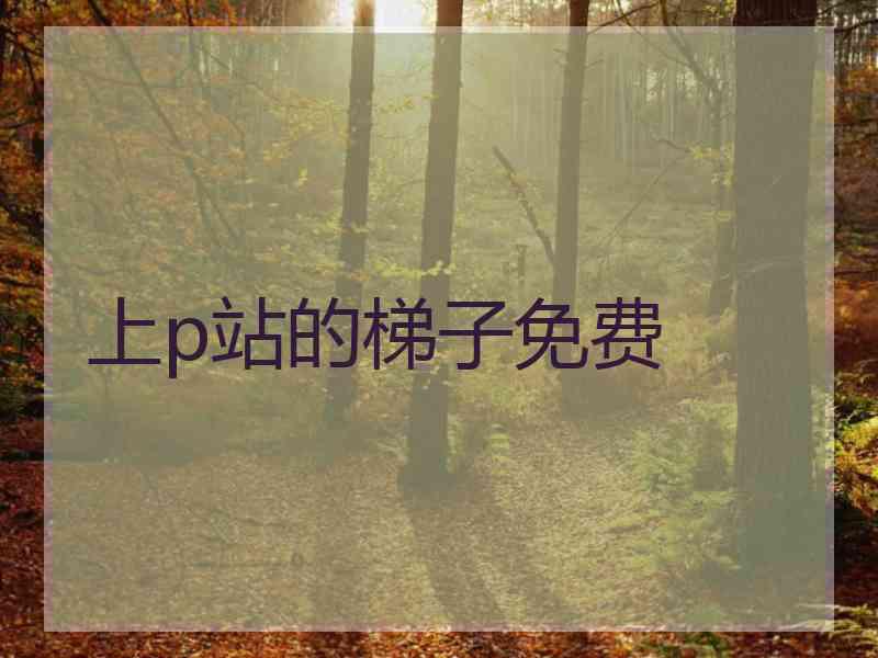 上p站的梯子免费