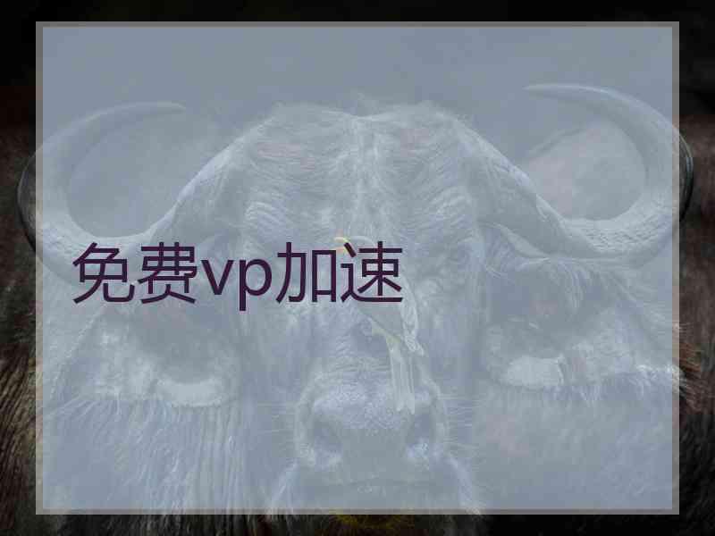 免费vp加速