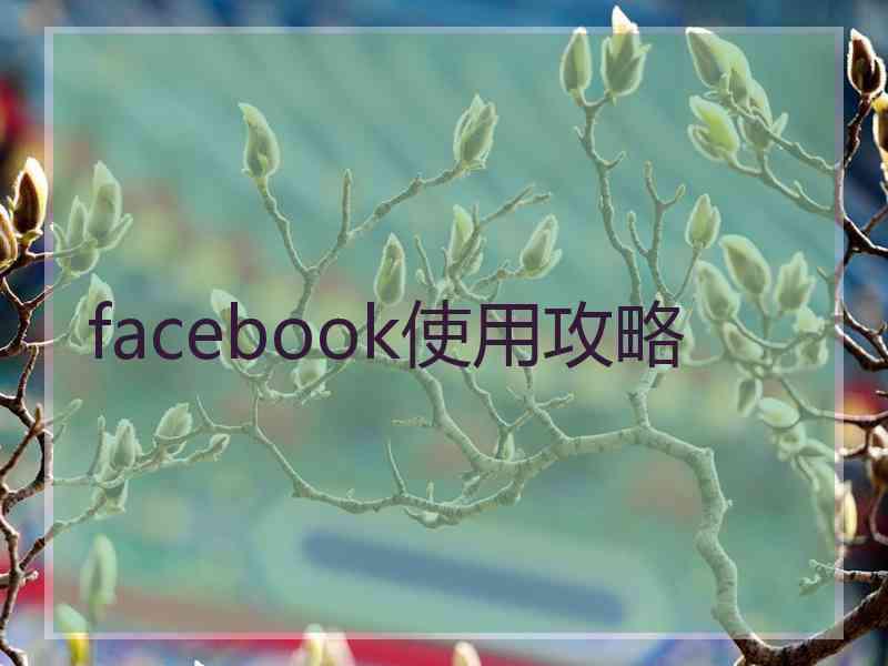 facebook使用攻略