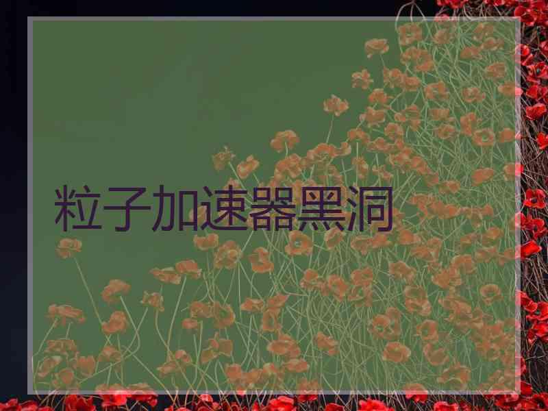 粒子加速器黑洞