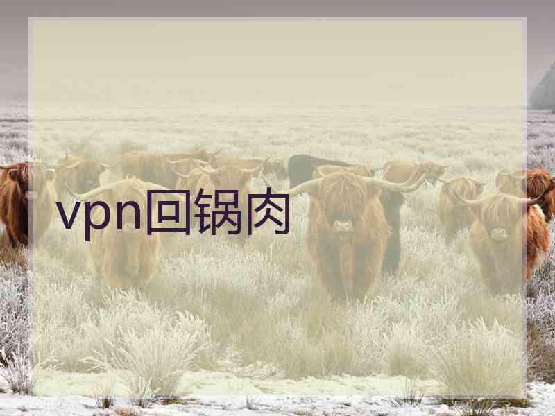 vpn回锅肉
