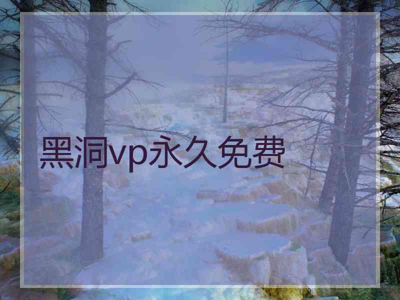 黑洞vp永久免费
