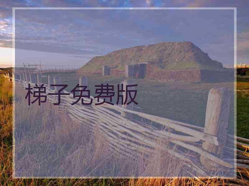 梯子免费版