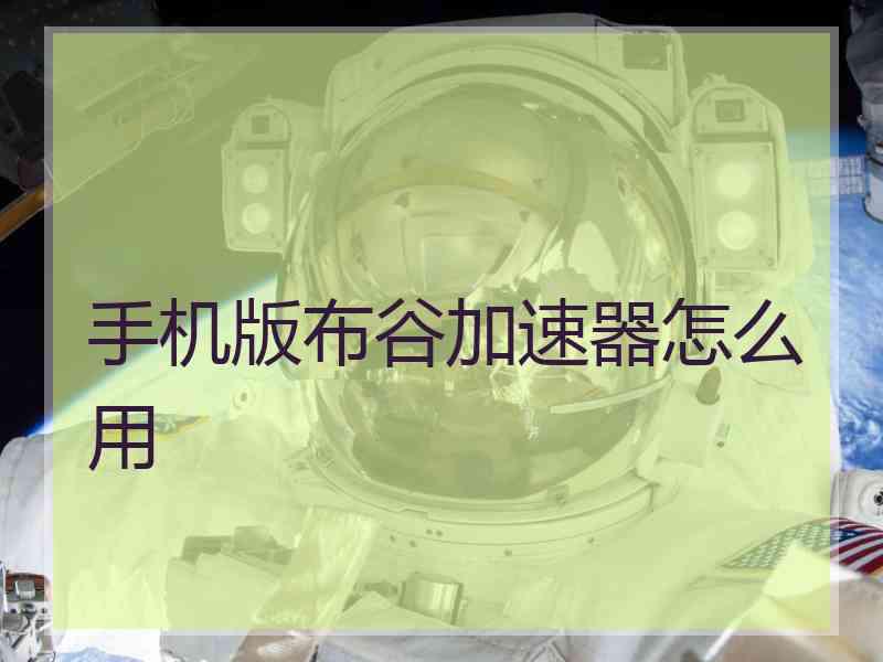 手机版布谷加速器怎么用