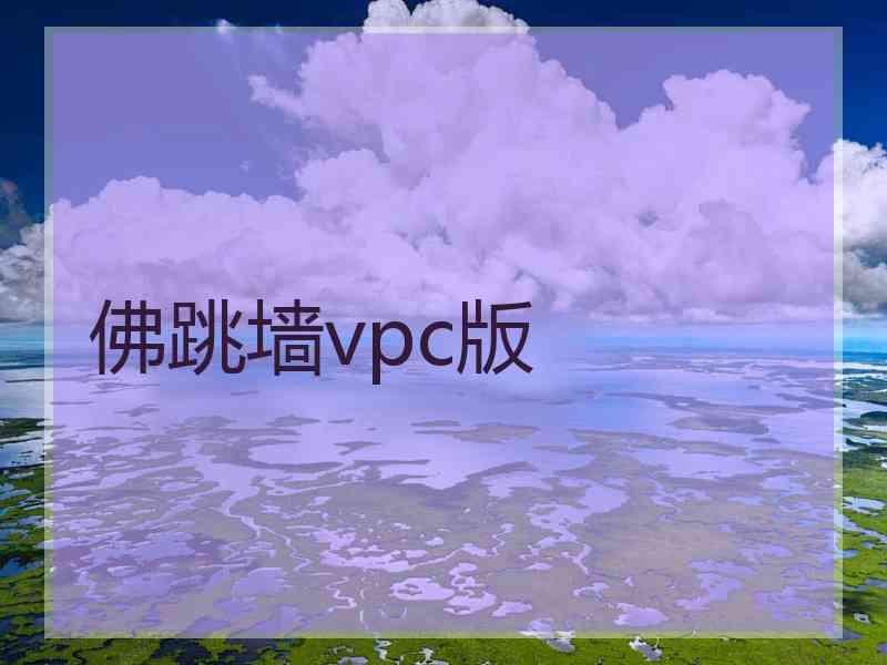 佛跳墙vpc版