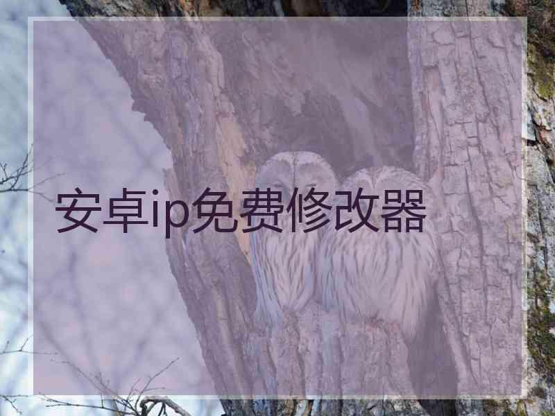 安卓ip免费修改器