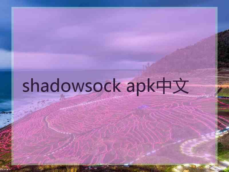 shadowsock apk中文