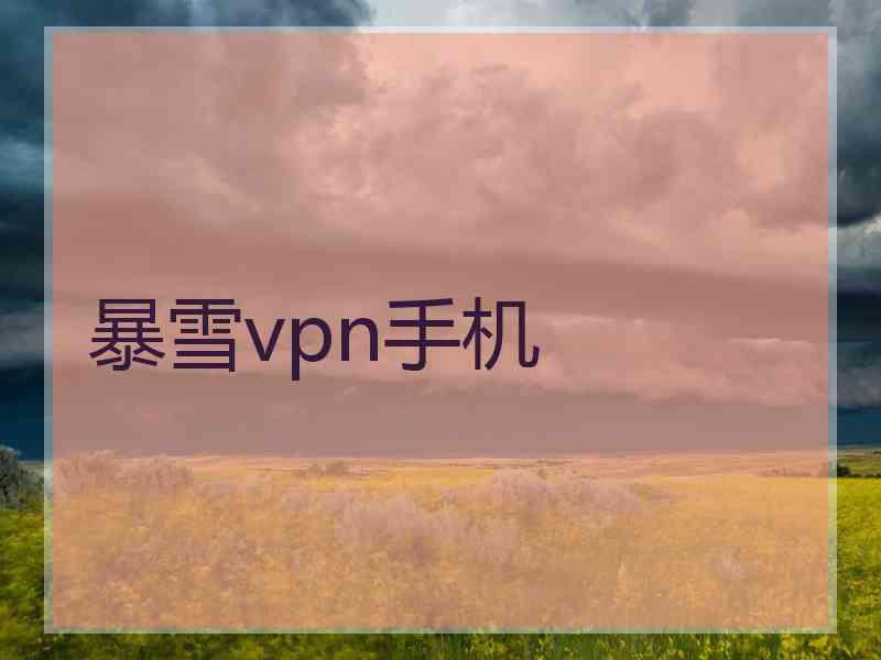 暴雪vpn手机