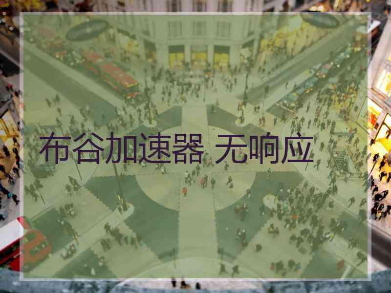 布谷加速器 无响应