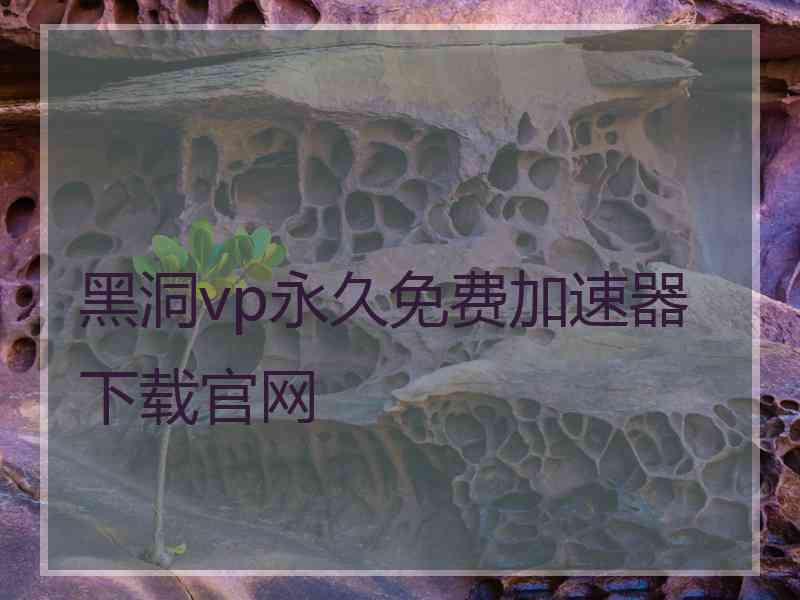 黑洞vp永久免费加速器下载官网