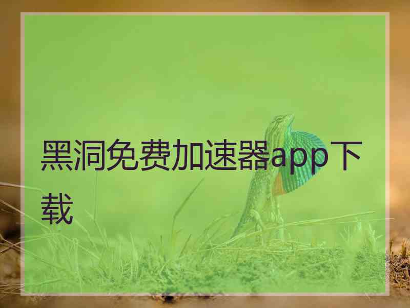 黑洞免费加速器app下载