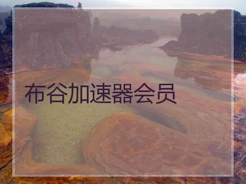 布谷加速器会员