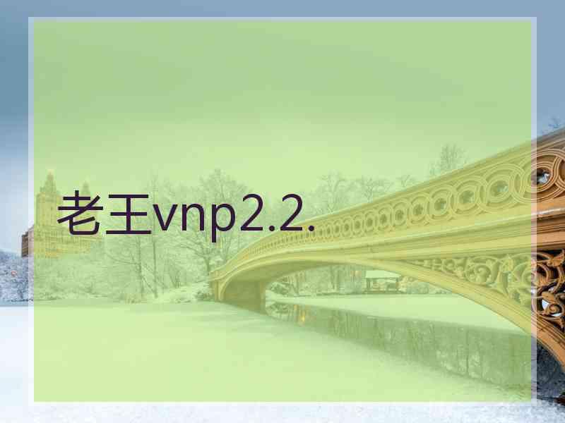 老王vnp2.2.